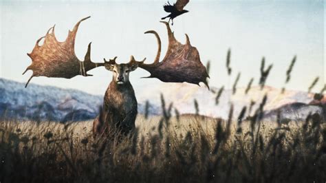 giant deer roamed eurasia weta