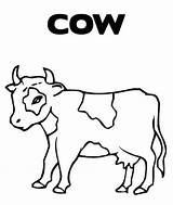 Coloring Cow Pages Printable Head Color Cows Print Sheets Getcolorings Survival Library Clipart Macdonald Old Popular sketch template