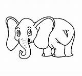 Elephant Little Coloring Coloringcrew Animals sketch template