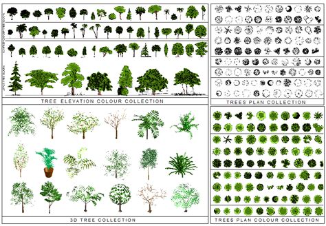 tree plan png   google search architectural rendering