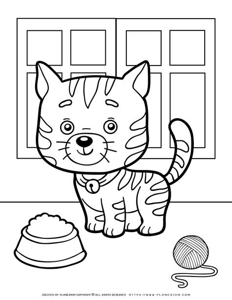animals coloring page cat planerium