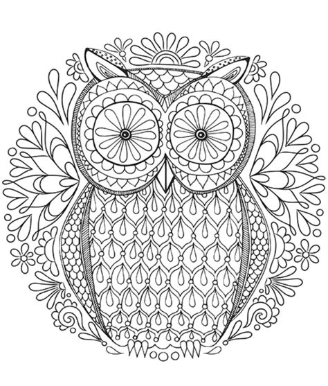 hard owl  coloring pages png  file