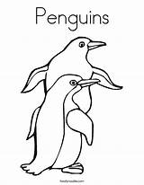 Coloring Penguins Twistynoodle Penguin Built California Usa sketch template