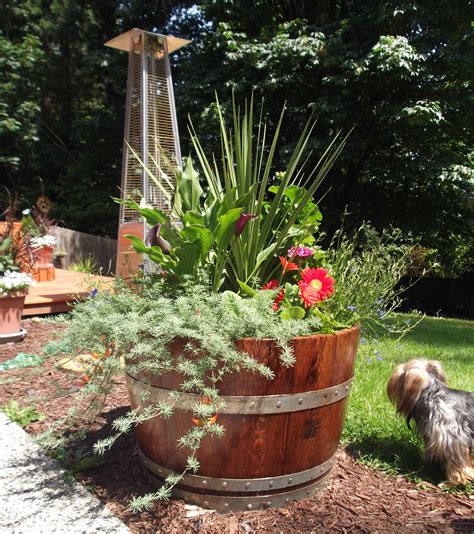 Oak Wine Barrel Flower Pots Each Stave Is Secured With A Screw To