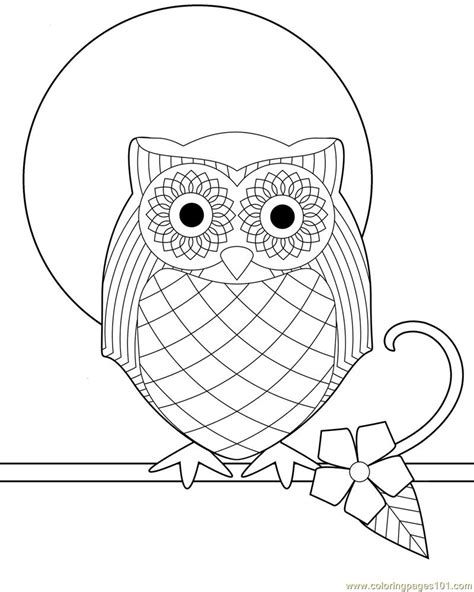 coloring pages owl birds owl  printable coloring page