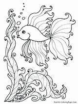 Coloring Pages Ocean Realistic Sea Anemone Lebron James Printable Getdrawings Color Getcolorings sketch template