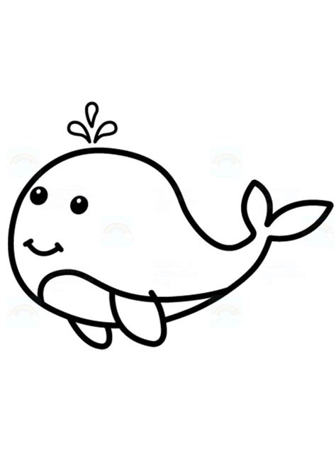 coloring pages cute whale coloring pages  kids