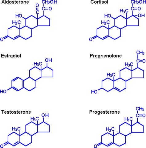 steroid hormones