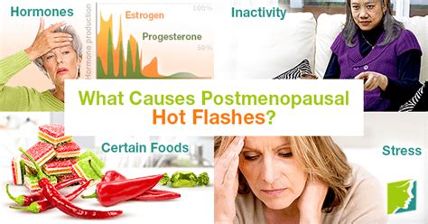 What Causes Postmenopausal Hot Flashes