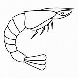 Prawn Seafood sketch template