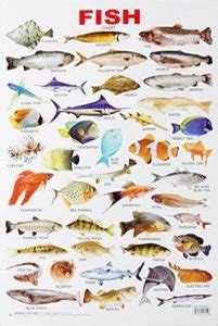 fish chart appuworld