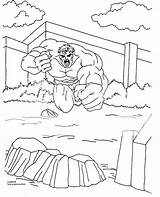 Hulk Coloring Pages Incredible Jumping sketch template