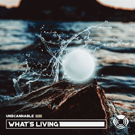 whats living unscannable magnetfeld records