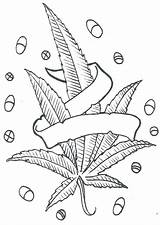 Pot Leaf Coloring Pages Printable Getcolorings Color Print sketch template