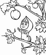 Masha Bear Coloring Pages Want Apple Colouring Drawing Biggest Pick Color Draw Drawings sketch template