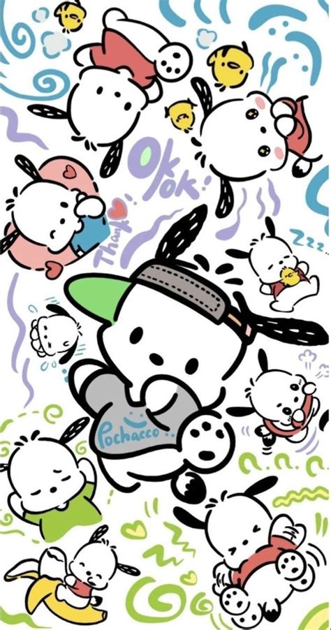 cute pochacco wallpaper sanrio    kitty iphone wallpaper