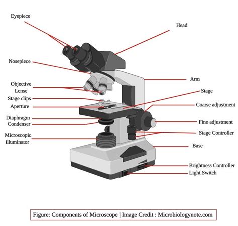 parts  microscope   functions  working principle microscope parts technology