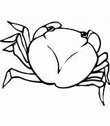 Crabe Coloriage Toupty Navigateur Boutons Dessus Fonctionnent sketch template