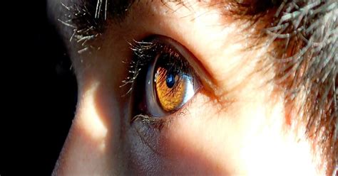 brown eyes   sunlight   years  eyes