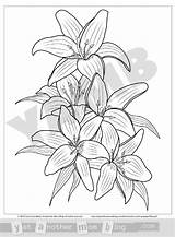 Lilies  sketch template