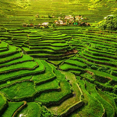 Batad Rice Terraces Northern Luzon Philippines Cool Places To Visit