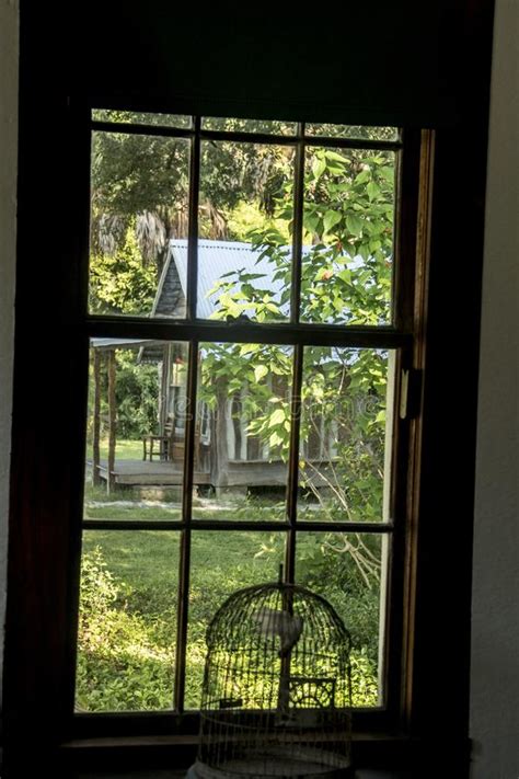 Il tuo giardino, balcone o terrazzo non viene raggiunto dai raggi del sole? Piante Simili Ai Rododendri - I Rododendri In Fioritura Con Lo Stagno A
