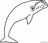 Whale Coloringall sketch template