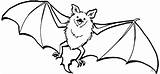 Pipistrello Bat sketch template