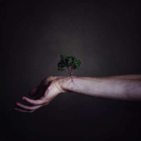 plant human hybrids put  hands
