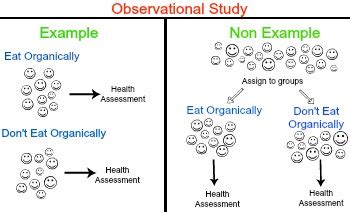 observational study  statistics overview examples video