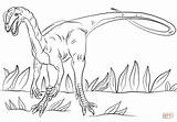 Jurassic Dilophosaurus Coloring Ausmalbild Kolorowanki Dinosaurs Ausmalen Dinosaur Velociraptor Disegni Ausdrucken Kostenlos Parque sketch template
