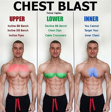chest blast gym workout tips  chest workout chest workouts