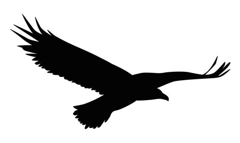 eagle flying silhouette  vector art  vecteezy