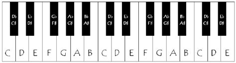 piano   keys labeled  scientific diagram