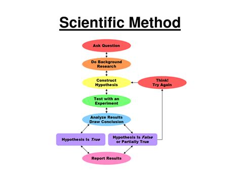scientific method diagram quizlet