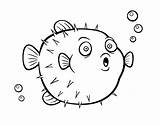 Pez Fish Peces Puffer Animales Pufferfish Palla Coloringcrew Angler Dibuixos Acolore Pesci Globos Peix Globus sketch template