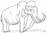 Mammoth Coloring Woolly Pages Draw Sheet Drawing Wooly Printable Clipart Mamoth Supercoloring Pencil Animal Kids Step Tutorials Clipground Popular Choose sketch template