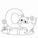 Letter Alphabet Printable Animal Cat Coloring Pages Kids Print sketch template