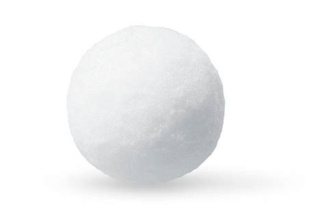 snowball pictures images  stock  istock