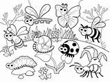 Coloring Pages Insect Spring Sheets Bugs Insects Preschool Bug Letscolorit Kids sketch template