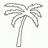 Palme Malvorlage Malvorlagen Palm Leaf Fensterbilder Coloring Palmboom Kleurplaat Kinderbilder Baum Palmenblatt Bäume Insel sketch template