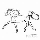 Horse Half Coloring Pages Arabian Arab Line Index Own Color sketch template