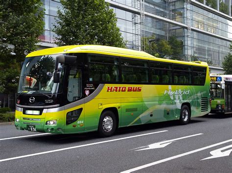 sightseeing tours  hato bus regaining popularity  tokyo japan today