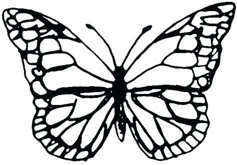 monarch butterfly outline    clipartmag