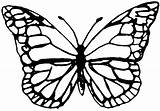 Butterfly Template Outline Monarch Shrink Plastic Coloring Printable Butterflies Drawing Templates Shrinky Print Patterns Dink Clipart Brooch Tutorial Pages Stencil sketch template
