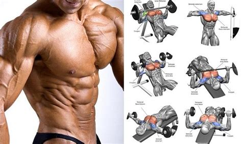 workouts top 10 best chest building exercises of all time chest