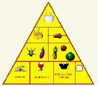 homeschool views food pyramidactivitiescraftsnutritionvitamins