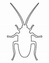 Cockroach Printable Drawing Templates Insect Pattern Outline Bug Template Patternuniverse Crafts Roach Paper Print Kids Stencils Pdf Patterns Cut Use sketch template