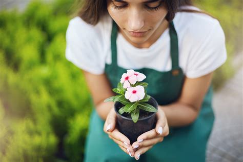 Beneficios De La Jardinería Para La Salud Jardincas