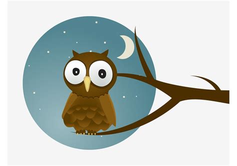 cartoon owl vector   vector art stock graphics images